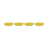 San Francisco Dinner Plates, Set of 4