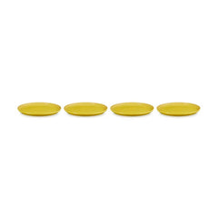 San Francisco Dinner Plates, Set of 4